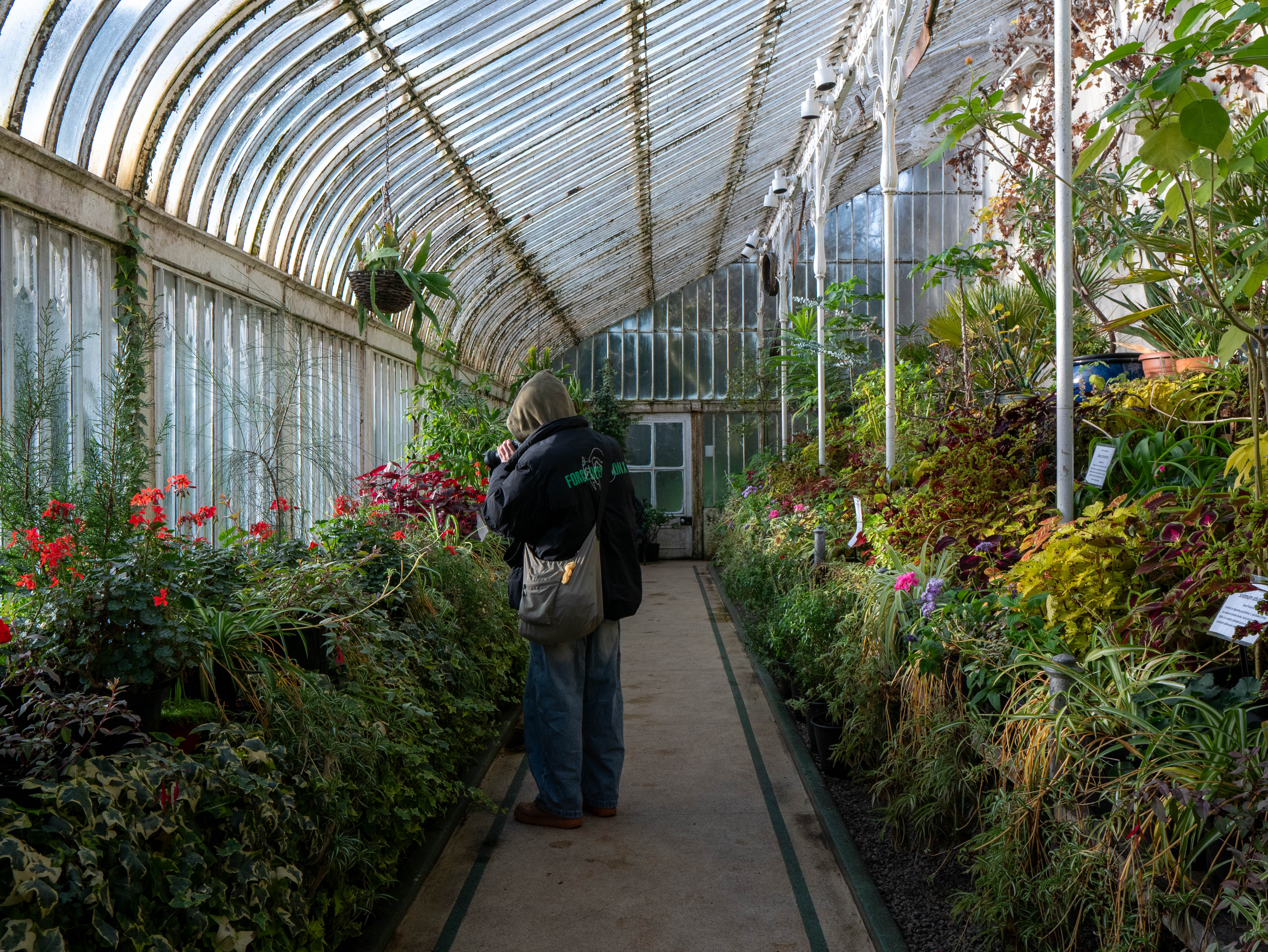 Photo jardin botanique - Irlande du nord